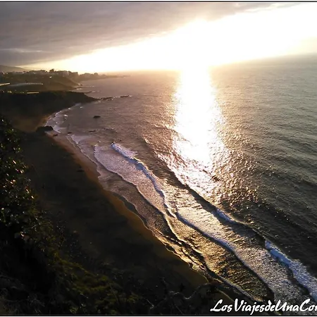 Dragos Del Mar , Espacio Natural La Orotava