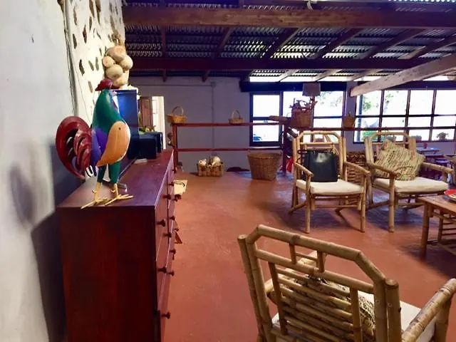 Dragos Del Mar , Espacio Natural *