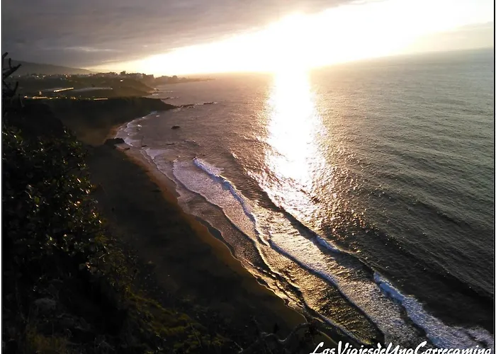 Dragos Del Mar , Espacio Natural La Orotava