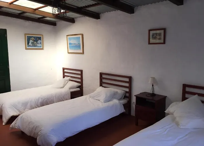 Dragos Del Mar , Espacio Natural * La Orotava